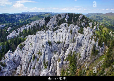 Kalkstein Pflaster aus Bijele und Samarske Stijene, Kroatien Stockfoto