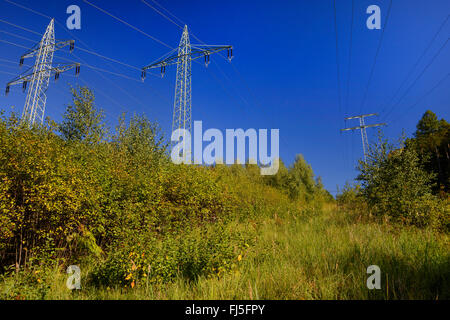 Strom-Route als wichtiges Biotop für Pflanzen und Tiere, Deutschland, Hessen, Spessart Stockfoto