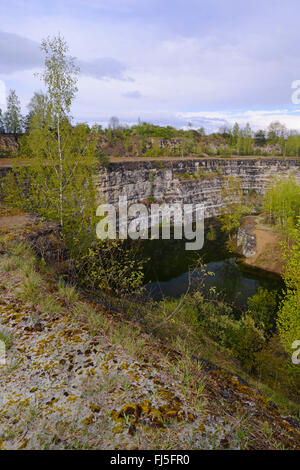 renaturierte Kalksteinbruch mit Teich und Steilwände, Deutschland, Baden-Württemberg, Böblingen Stockfoto