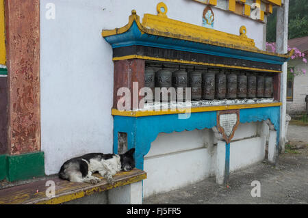 Buddhistische Gebetsmühlen außerhalb der Yiga Choeling Kloster Ghoom, Darjeeling, Westbengalen, Indien, mit dem Hund schlafen. Stockfoto