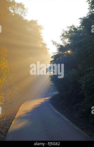 Radweg auf der stillgelegten Bahnstrecke Rheinischer Esel in der Morgensonne, Bochum, Ruhrgebiet, Nordrhein-Westfalen, Deutschland Stockfoto