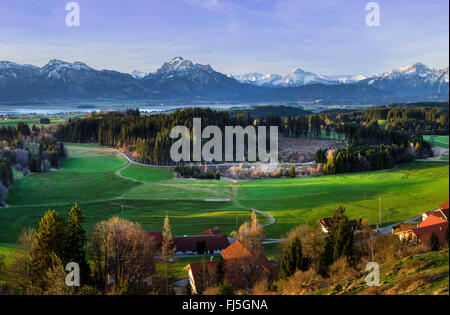 Blick vom Zwieselberg zum Forggensee See und Tannheimer Berge, Deutschland, Bayern, Oberbayern, Oberbayern, Allgäu Stockfoto