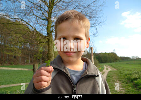 kleiner Junge mit vierblättrigen Klee in der Hand, Porträt eines Kindes, Deutschland Stockfoto