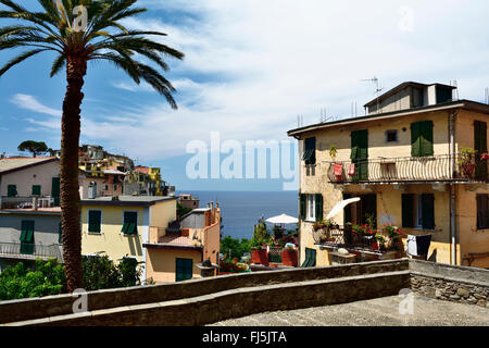 Corniglia ist ein Frazione ("Bruch") von der Comune von Vernazza in der Provinz von La Spezia. Stockfoto
