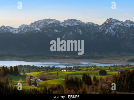 Blick vom Zwieselberg zum Forggensee See und Tannheimer Berge, Deutschland, Bayern, Oberbayern, Oberbayern, Allgäu Stockfoto