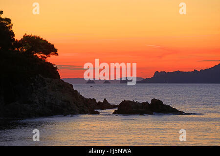 Küste von Porquerolles Insel bei Sonnenaufgang, Frankreich, Provence, Porquerolles Stockfoto