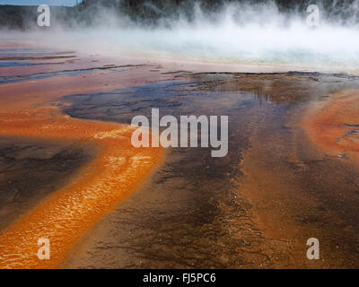 Grand Prismatic Spring, Midway Geyser Basin, USA, Wyoming, Yellowstone-Nationalpark Stockfoto