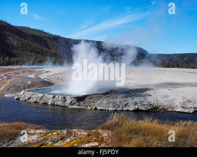 Cliff Geysir, schwarzen Sand Basin, USA, Wyoming, Yellowstone-Nationalpark Stockfoto