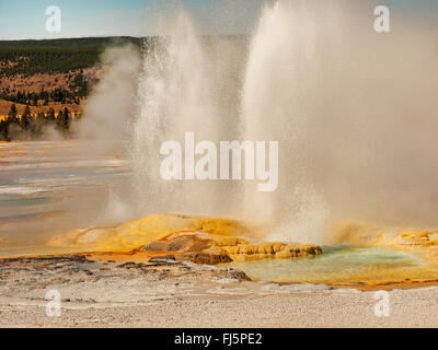 Clepsydra Geyser, Lower Geyser Basin, USA, Wyoming, Yellowstone-Nationalpark Stockfoto