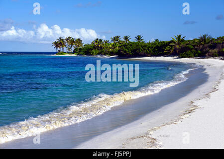 Die kleine Insel Petit Tabac in Tobagos Cays, St. Vincent und die Grenadinen Stockfoto