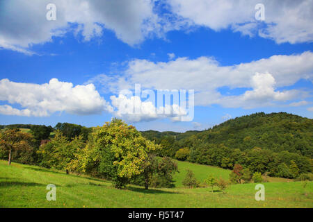 Odenwald im Herbst, Deutschland, Baden-Württemberg Stockfoto
