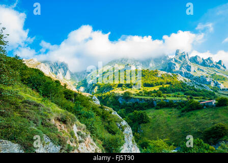 Landschaft von den Picos de Europa nahe dem Dorf von Sotres. Asturien. Spanien Stockfoto