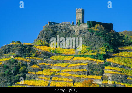 Blick auf Burg Niederburg über Kobern-Gondorf, Deutschland, Rheinland-Pfalz, Moselgebiet Stockfoto