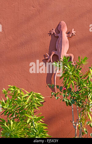 Stein Gecko an einer Hauswand, Madagaskar, Ankify Stockfoto