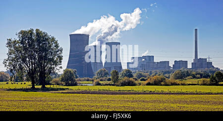 Steinkohle befeuerten Kraftwerk Westfalen, RWE Power AG, Deutschland, Nordrhein-Westfalen, Ruhrgebiet, Hamm Stockfoto