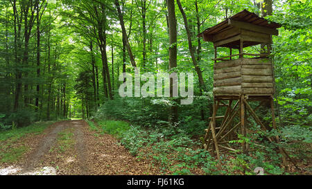 alten angehoben zu verstecken, auf einem Waldweg, Deutschland, Baden-Württemberg, Odenwald Stockfoto