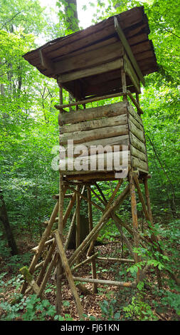 alten angehoben zu verstecken, an einem Waldrand, Deutschland, Baden-Württemberg, Odenwald Stockfoto