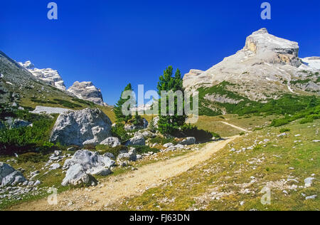 Naturpark Fanes-Sennes-Prags, Italien, Südtirol, Dolomiten Stockfoto