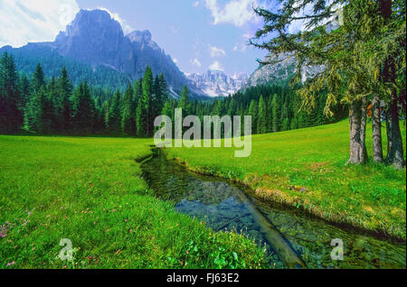 Blick vom oberen Campillbach-Tal auf der Pütz Gruppe Natur Park Pütz Geisler, Italien, Südtirol, Dolomiten Stockfoto