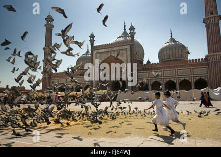 Kinder, die Spülung Tauben vor Jama Masjid Moschee, Indien, Delhi Stockfoto