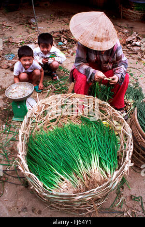 Vietnamesin Verkauf von Zwiebeln auf Markt, Vietnam Stockfoto