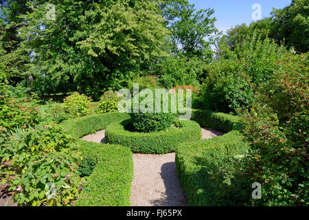 Gemeinsamen Feld, Buchsbaum (Buxus Sempervirens), Buchsbaum Hecke im Garten des historischen Händler Shop von 1820, Haus Peters, Deutschland, Schleswig-Holstein, Norden Frisia, Tetenbuell Stockfoto