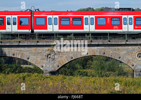 Zug auf Eisenbahnbrücke, Ruhrflutbruecke, Deutschland, Nordrhein-Westfalen, Ruhrgebiet, Essen Stockfoto