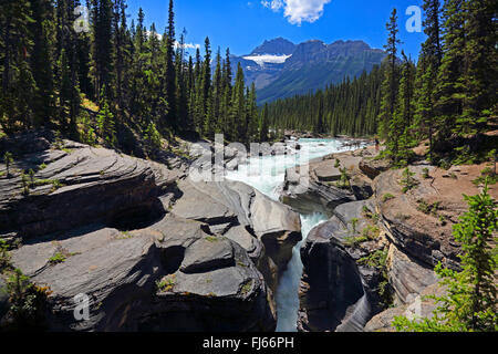 Mistaya Canyon, Kanada, Alberta Banff National Park Stockfoto