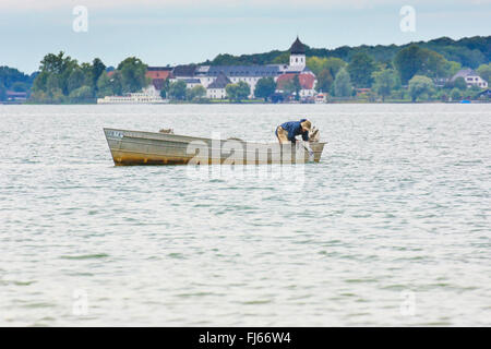 Brachsen, Süßwasser Brassen, Karpfen Brassen (Abramis Brama), Fischer fängt große Brassen in einem See, Deutschland, Bayern, See Chiemsee, Fraueninsel Stockfoto