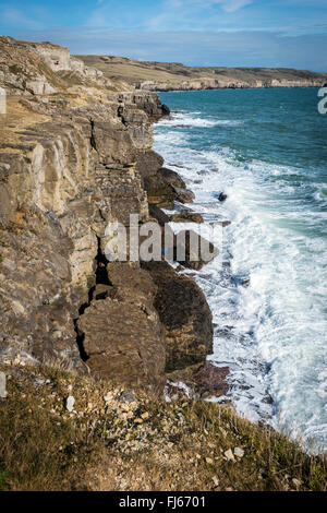 Die Jurassic Coast in der Nähe von Winspit Steinbruch auf der Isle of Purbeck, Dorset, Großbritannien Stockfoto