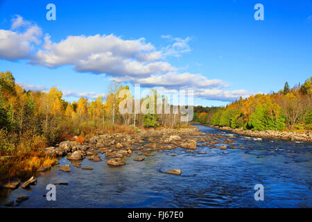 Madawaska River in der Nähe von Whitney, Kanada, Ontario, Algonquin Provincial Park Stockfoto