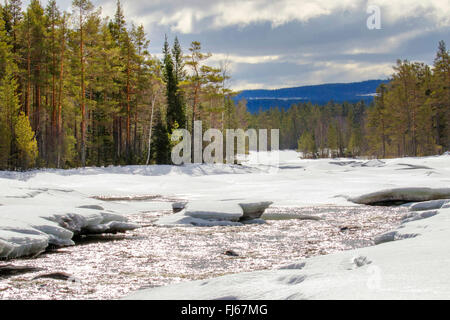 zugefrorenen Fluss in Winterlandschaft, Schweden, Orsa Finnmark, Nationalpark Hamra Stockfoto