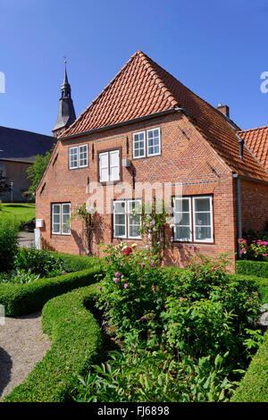 Gemeinsame Box, Buchsbaum (Buxus Sempervirens), ländlichen Garten von Haus Peters, historische Händler Shop von 1820, Deutschland, Schleswig-Holstein, Norden Frisia, Tetenbuell Stockfoto