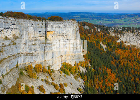 natürliche felsigen Cirque Creux du Van im Herbst, der Schweiz, Neuenburg Stockfoto