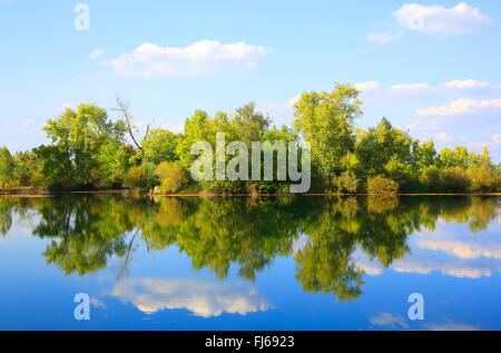 Fluss-Schwemmebene im Herbst, Deutschland Stockfoto