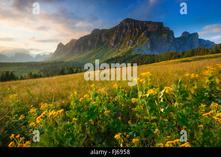 Alvier Group, Schweiz, St. Gallen Stockfoto