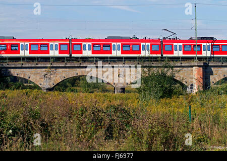 Zug auf Eisenbahnbrücke, Ruhrflutbruecke, Deutschland, Nordrhein-Westfalen, Ruhrgebiet, Essen Stockfoto