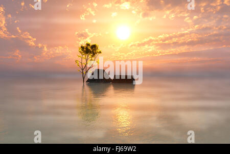 Nebligen Morgen nach der Sintflut Stockfoto