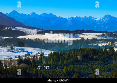 Blick in der Nähe von Geigersau über Eckberg (links) auf die Allgäuer Alpen, Deutschland, Bayern, Oberbayern, Oberbayern Stockfoto