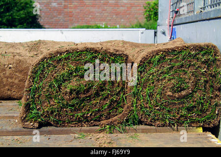 rollte Sod auf Ladefläche, Deutschland Stockfoto