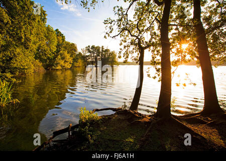 Glabbacher Bruch, Krickenbeck Seen bei Sonnenaufgang, Nettetal, Niederrhein, Nordrhein-Westfalen, Deutschland Stockfoto