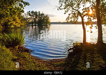 Glabbacher Bruch, Krickenbeck Seen bei Sonnenaufgang, Nettetal, Niederrhein, Nordrhein-Westfalen, Deutschland Stockfoto