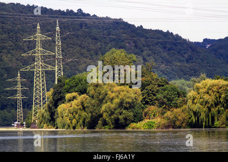 Strommasten und üppige Vegetation am Hengsteysee Seeufer, Deutschland, Nordrhein-Westfalen Stockfoto