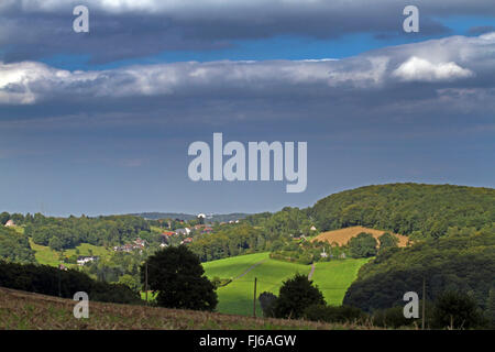 Felder, Wiesen und Wald im Sommer, Deutschland, Nordrhein-Westfalen, Bergisches Land Stockfoto