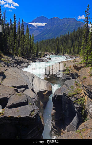 Mistaya Canyon, Kanada, Alberta Banff National Park Stockfoto