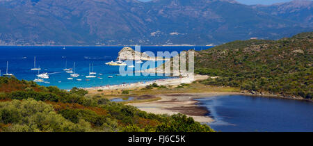 Strand La Plage du Lotu, Frankreich, Korsika, Desert des Agriates, Saint-Florent Stockfoto