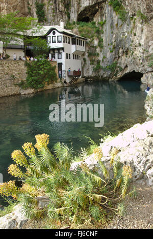 Blagaj (in der Nähe von Mostar), Tekija (Derwisch-Kloster) und der Fluss fließt aus dem Mund einer Höhle, Bosnien und Herzegowina Stockfoto