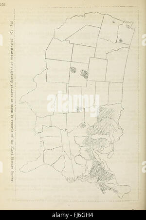 Erkrankungen der Obstkulturen in den Vereinigten Staaten im Jahr 1920 (1921) Stockfoto