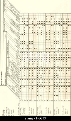 Verteilung und Fülle von Fischen und Wirbellosen im Golf von Mexiko Flussmündungen (1992-1997) Stockfoto