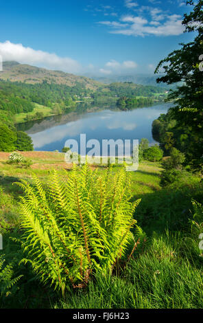 Grasmere im Frühjahr gesehen von loughrigg Terrasse, Nationalpark Lake District, Cumbria, England, Großbritannien Stockfoto